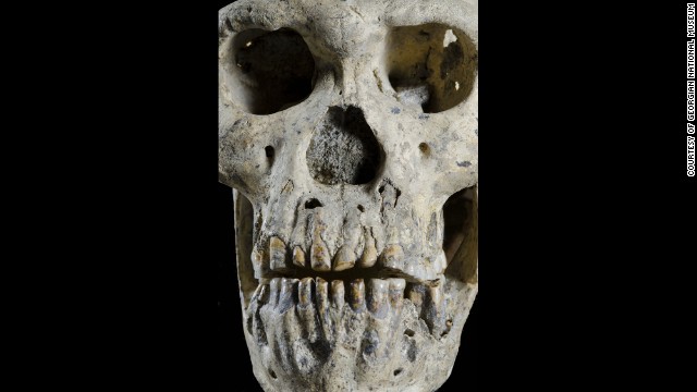Skull of ancient hominoid; courtesy of CNN International